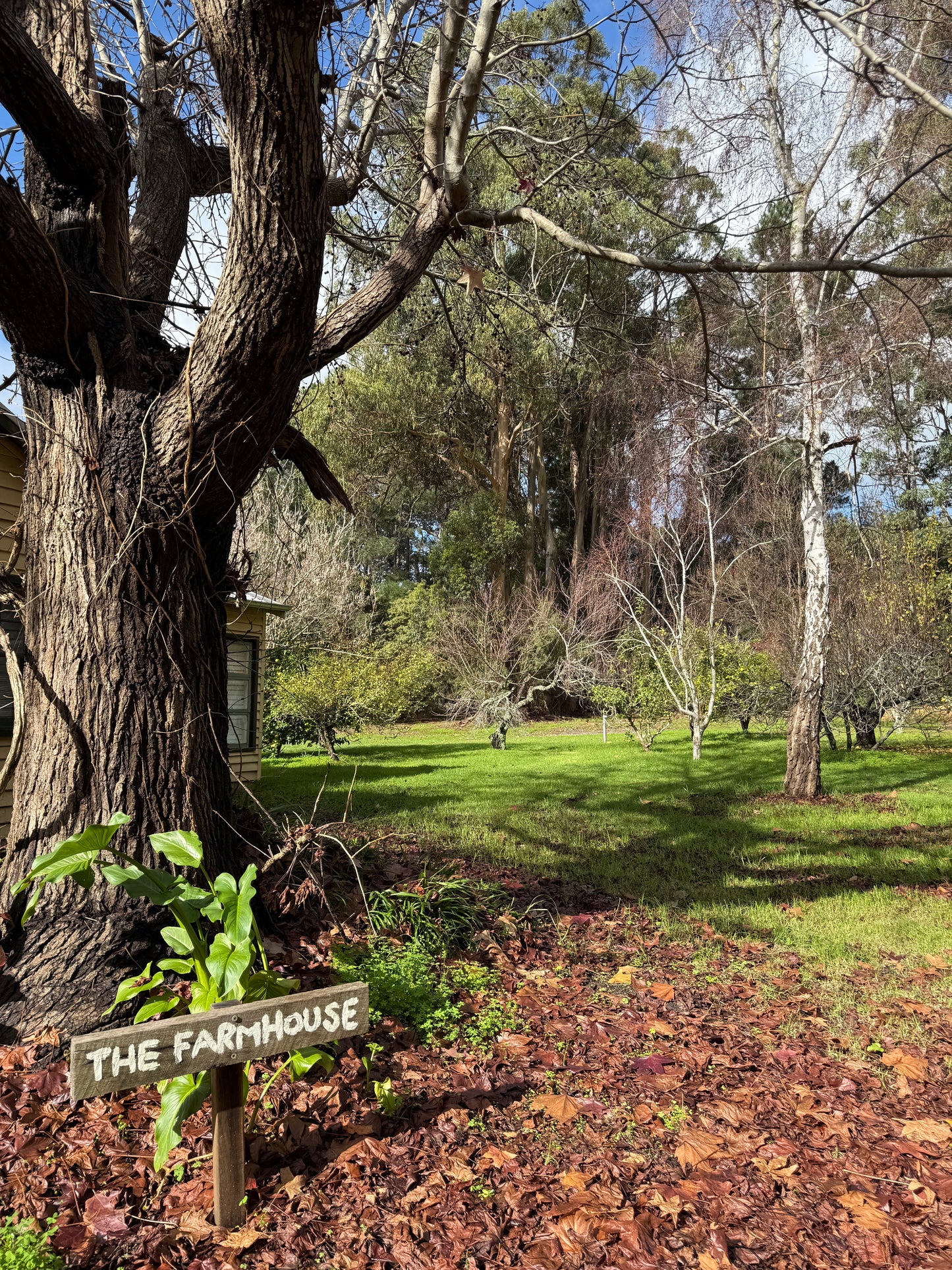 Cozy Margaret River Retreat - June 20–22